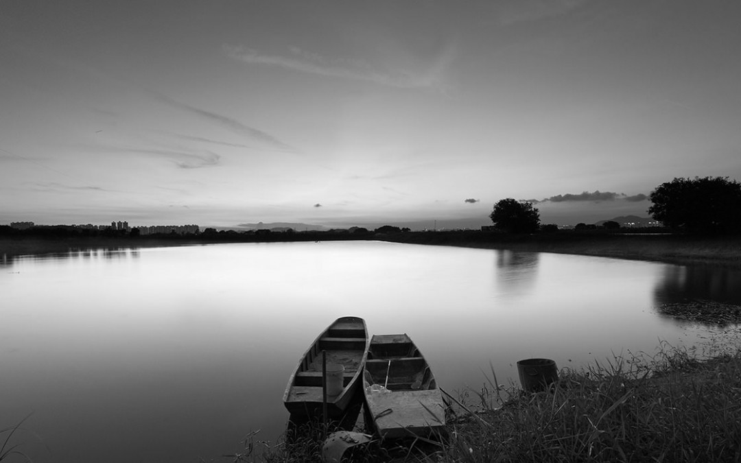 Sponsors – the regulatory regime