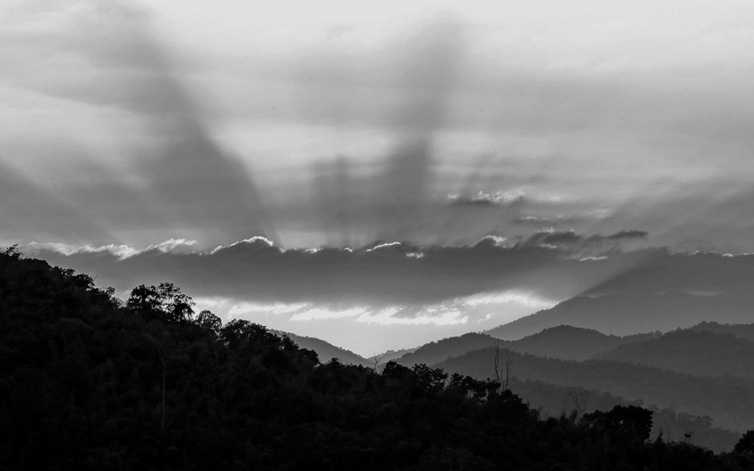 Overview of responsibilities of directors of companies listed on the Main Board of The Stock Exchange of Hong Kong Limited