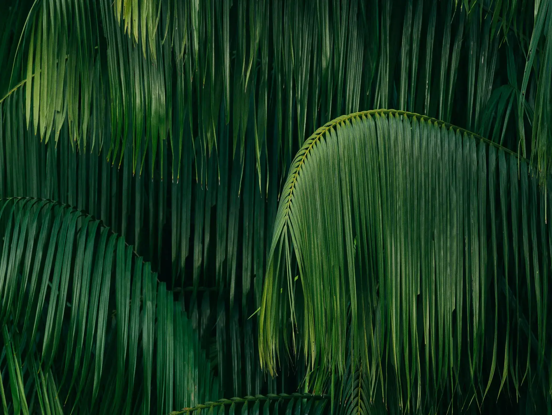 chuttersnap-VpmE7AbDg0A-unsplash Julia Charlton Nominated for Managing Partner of the Year