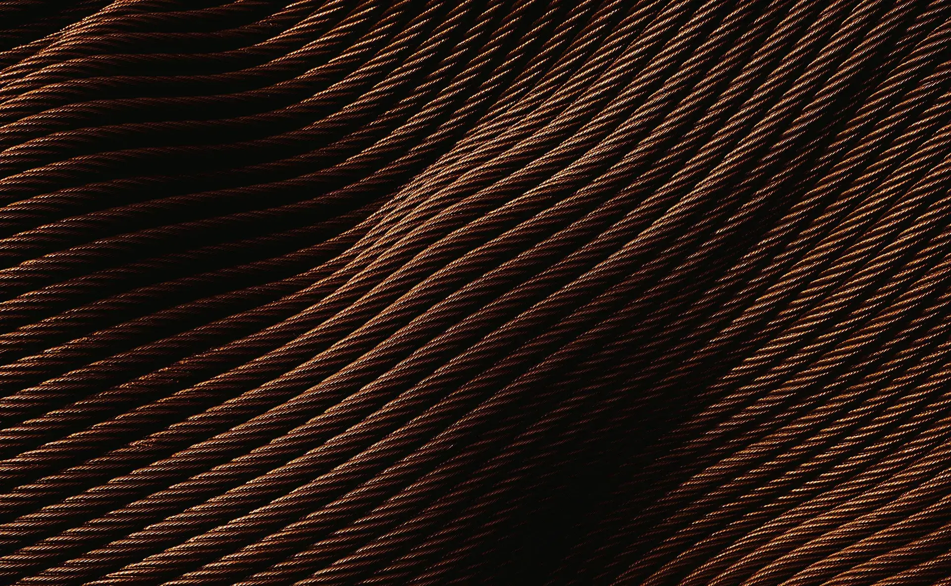 kiko-camaclang-9JQ9aLoVh1s-unsplash Julia Charlton Nominated for Managing Partner of the Year