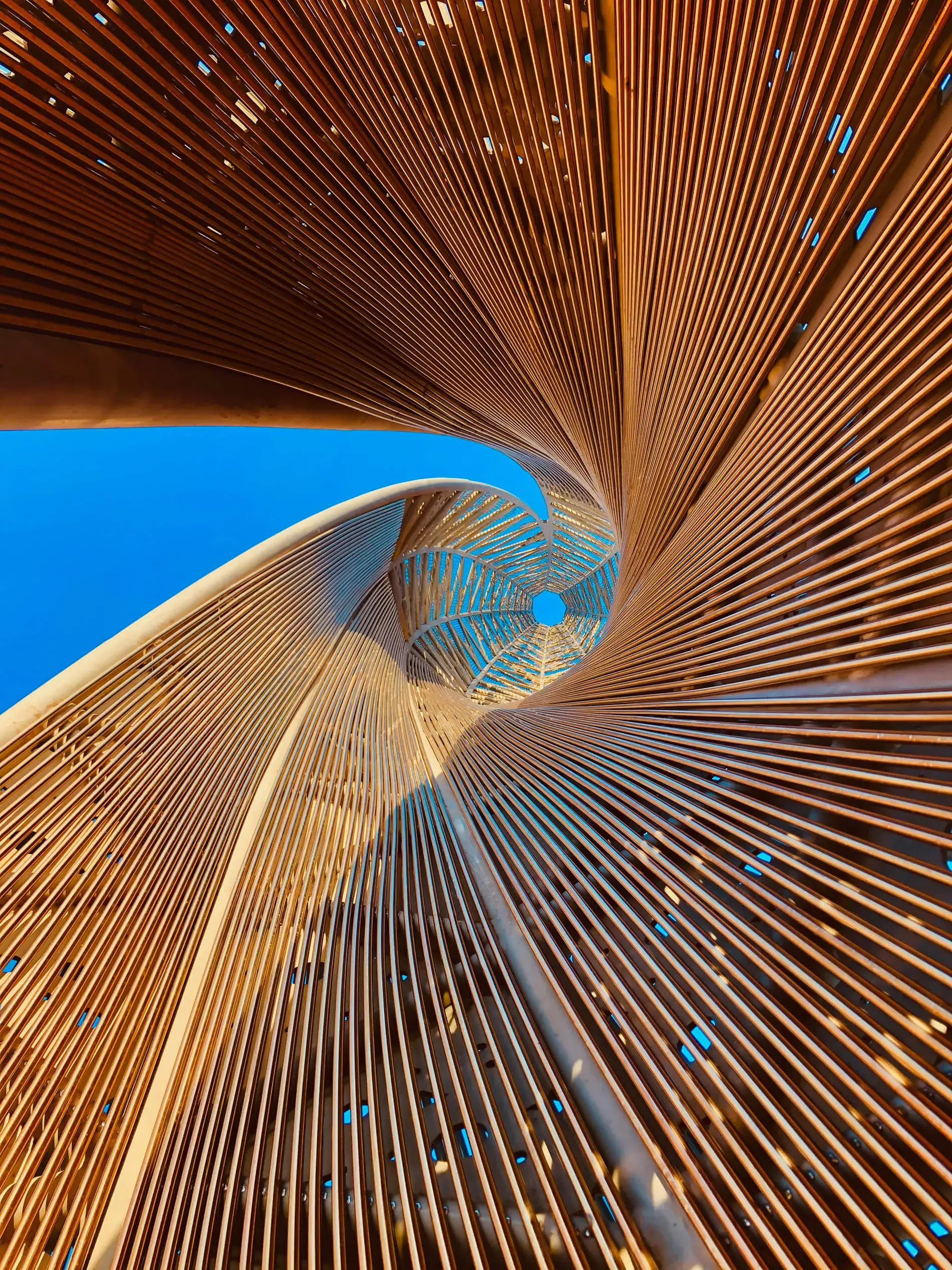 Julia Charlton Nominated for Managing Partner of the Year