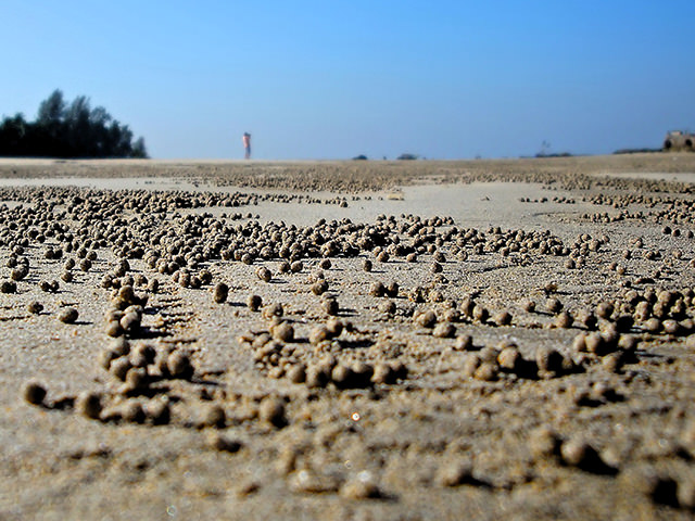 Myanmar reports half-year trade deficit of US 443 million