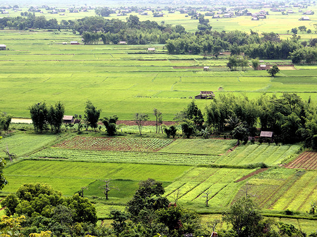 Asahi to partner with Loi Hein in Myanmar